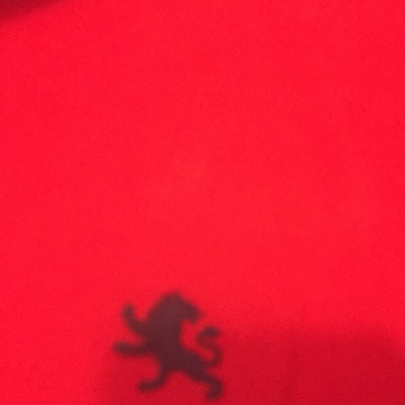 EXPRESS polo - Picture 4 of 5